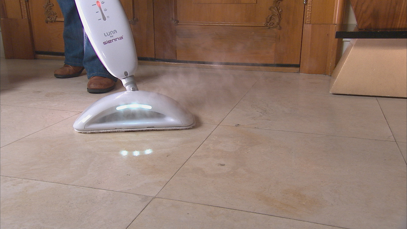 Sienna Luna Plus Steam Cleaning System & Reviews Wayfair